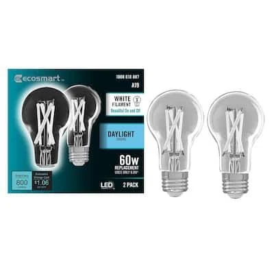 EcoSmart 40-Watt Equivalent Dimmable Filament LED Light Bulb - 5