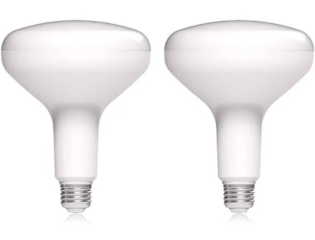 EcoSmart 60-Watt Equivalent Dimmable LED Light Bulb (4-Pack) - 9