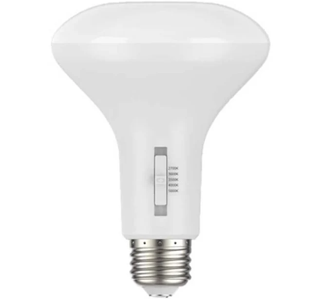 EcoSmart 60-Watt Equivalent Dimmable LED Light Bulb (4-Pack) - 9